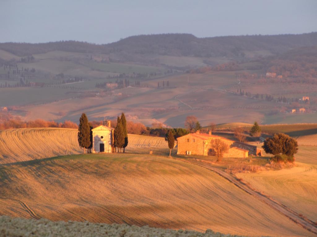 Al Piccolo Ulivo, A Casa Di Mimo&Se Vila Castiglione dʼOrcia Exterior foto