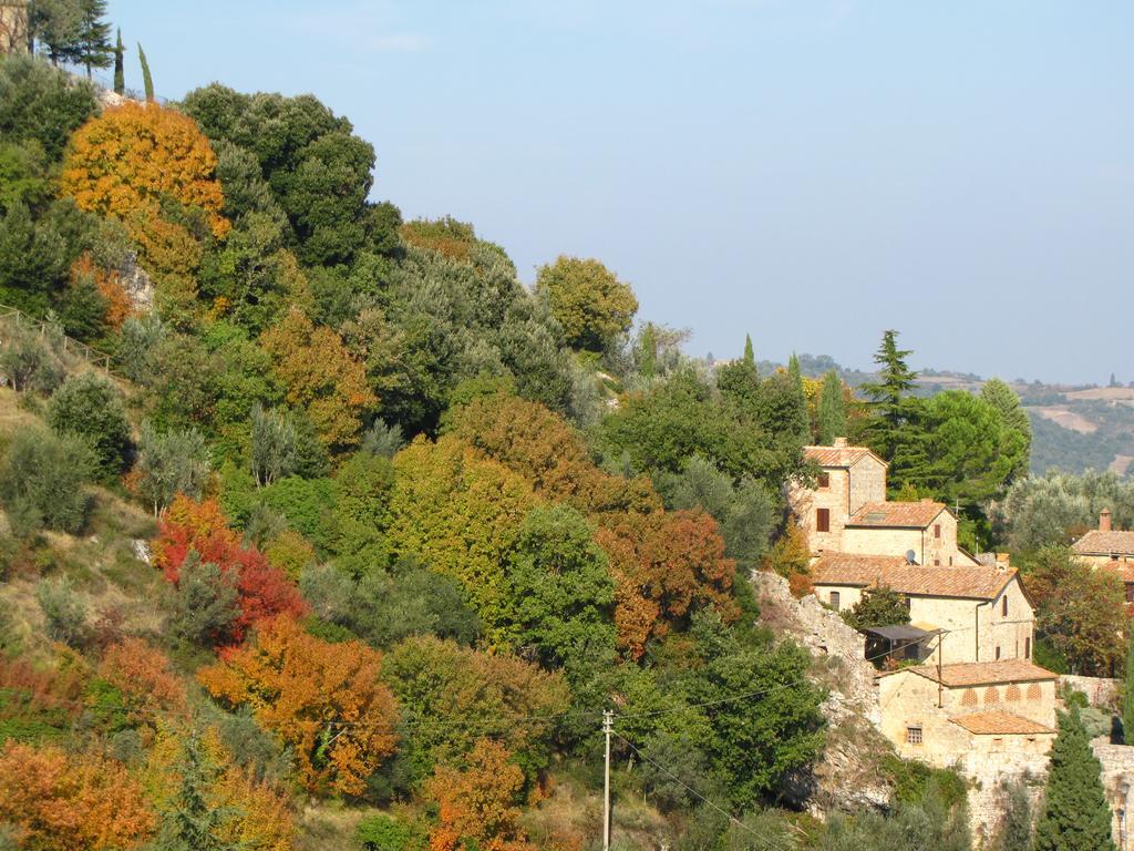 Al Piccolo Ulivo, A Casa Di Mimo&Se Vila Castiglione dʼOrcia Exterior foto